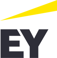 Company name - EY Suriname