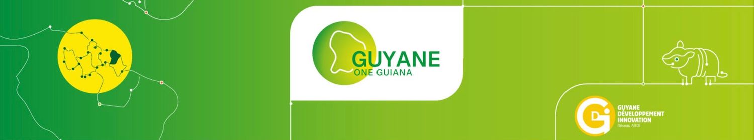 Cover image - Guyane Développement Innovation (GDI)