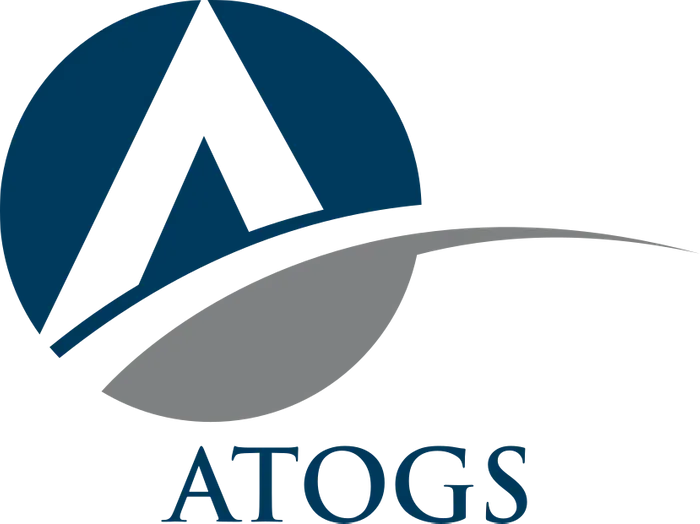 Company logo image for Aly Azim Dewji