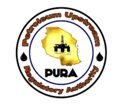 Company logo image for Charles Sangweni