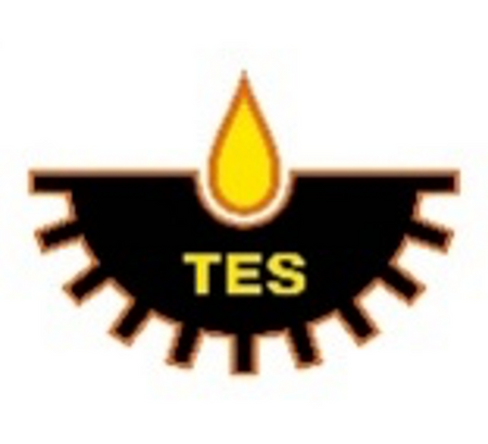 Torch Energy Group