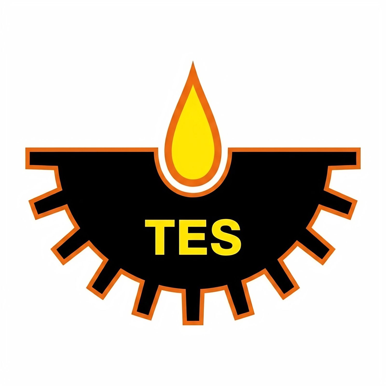 Torch Energy Group