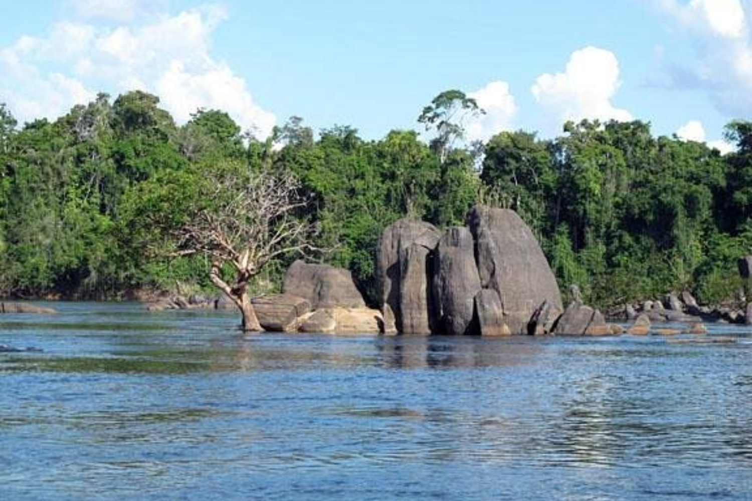 Essequibo River