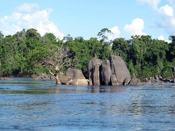 Essequibo River