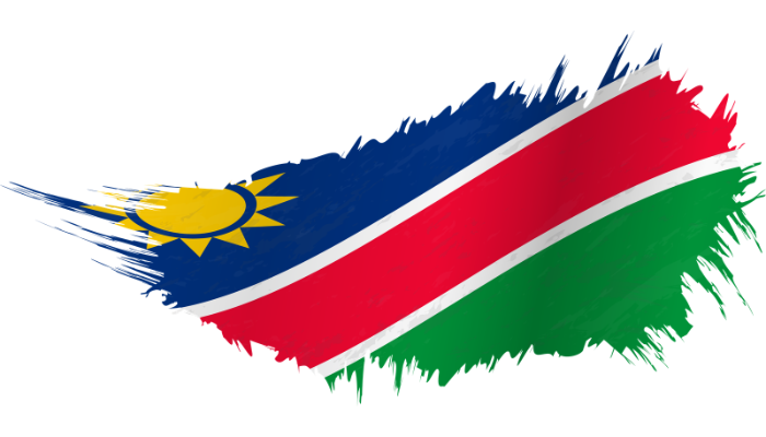 Building Namibia's Local Supply Chain: How NOGC 2026 is Creating Real Opportunities for Local Businesses