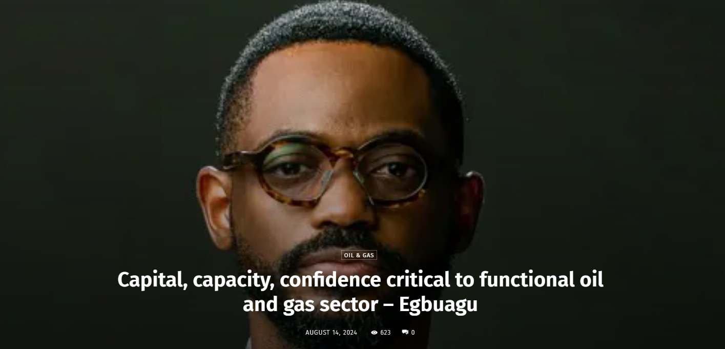 Capital, capacity, confidence critical to functional oil and gas sector – Egbuagu