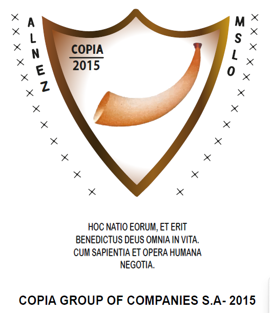 Company logo image for Adilson Nelumba