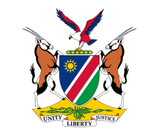 Company logo image for Modestus Amutse