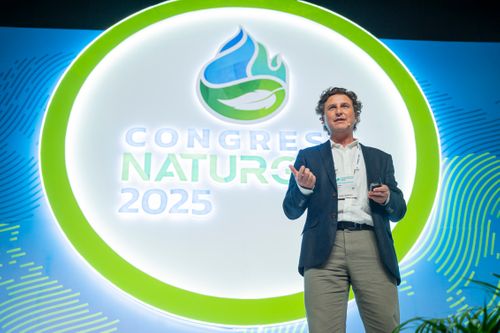 Navegando la tormenta regulatoria en la era Trump