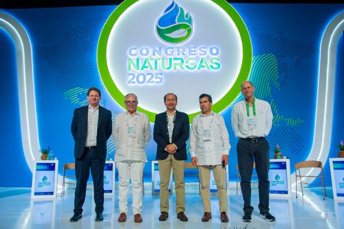 Panel: Gas natural: Pilar de la seguridad energética