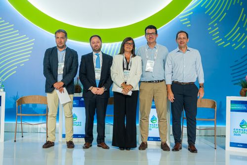 Panel: Dinámicas y tendencias del mercado global de GNL