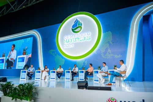 Panel: Gas Natural: Un consenso Nacional