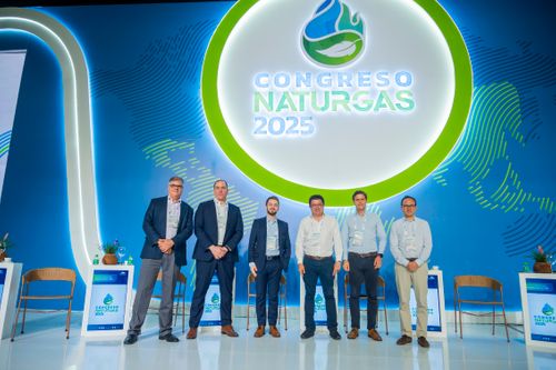 Panel: Herramientas para viabilizar proyectos estratégicos