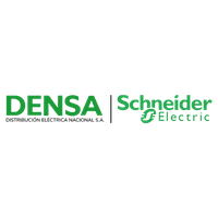Company name - DENSA