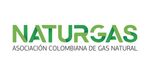 Naturgas