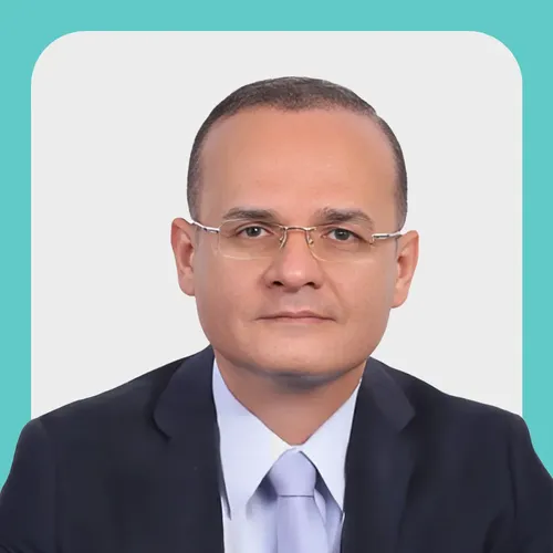 Hosam Heikal - Parsons