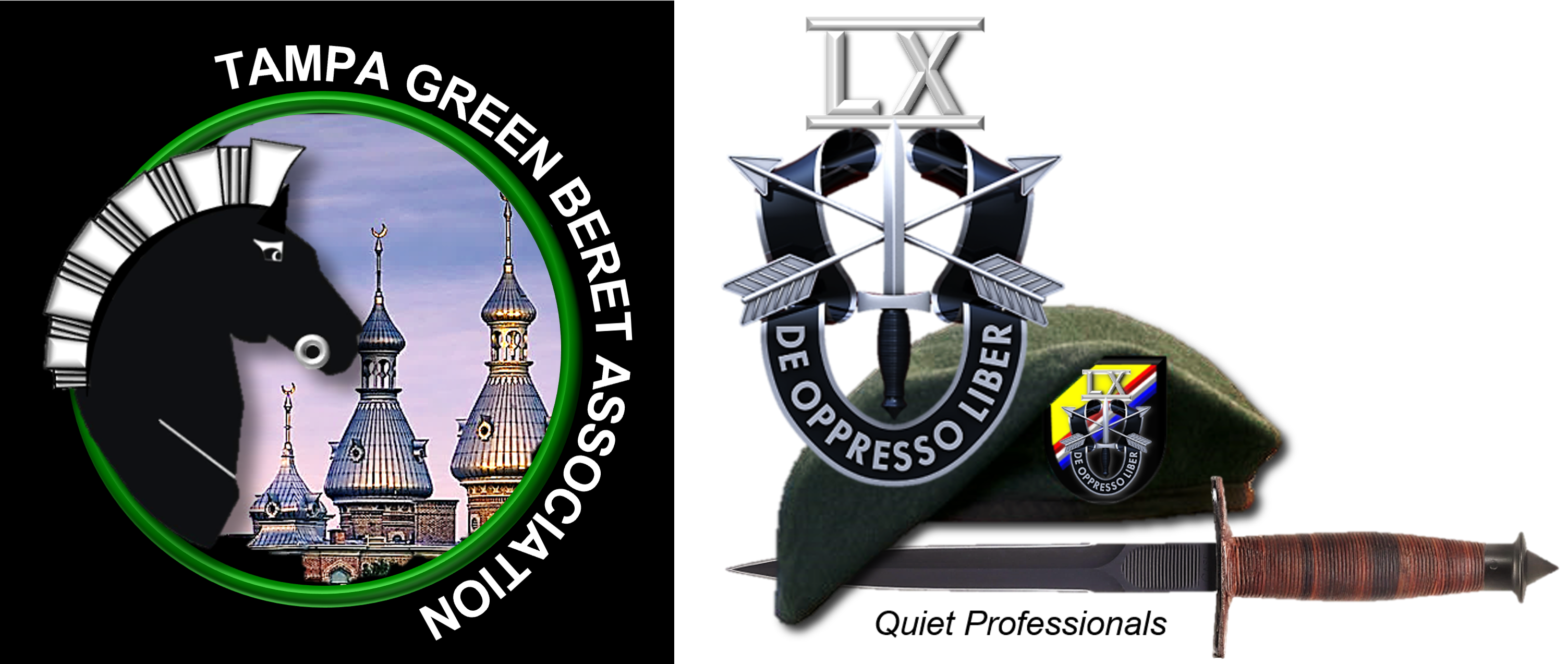 Tampa Green Beret Association Chapter LX Logo