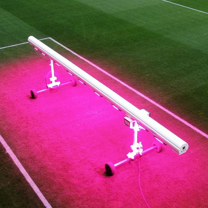 SGL launches compact and accessible LED grow lighting system SALTEX