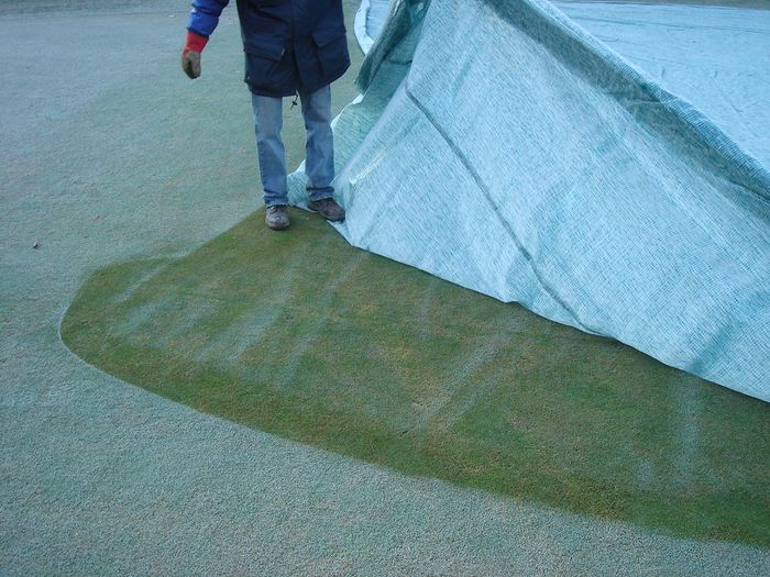 EVERGREEN® PITCH FROST COVERS AND GERMINATION BLANKETS