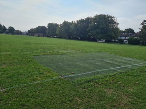 &Aring;husTurf Hybrid Turf  in Brighton & Hove City Council