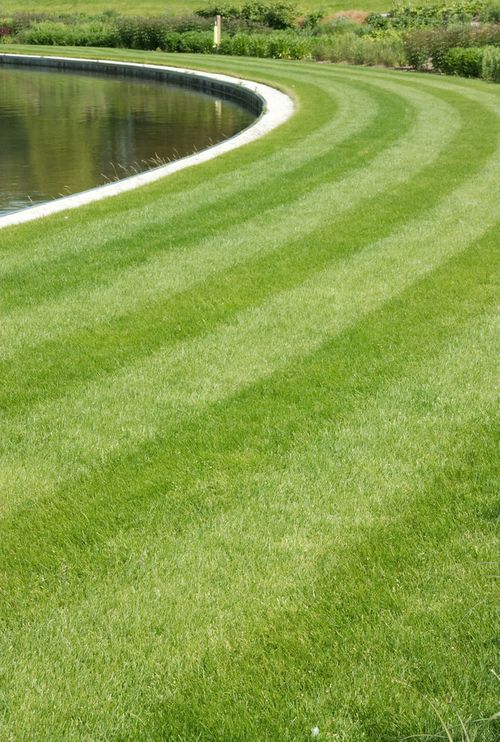 Grass Seed Mixtures