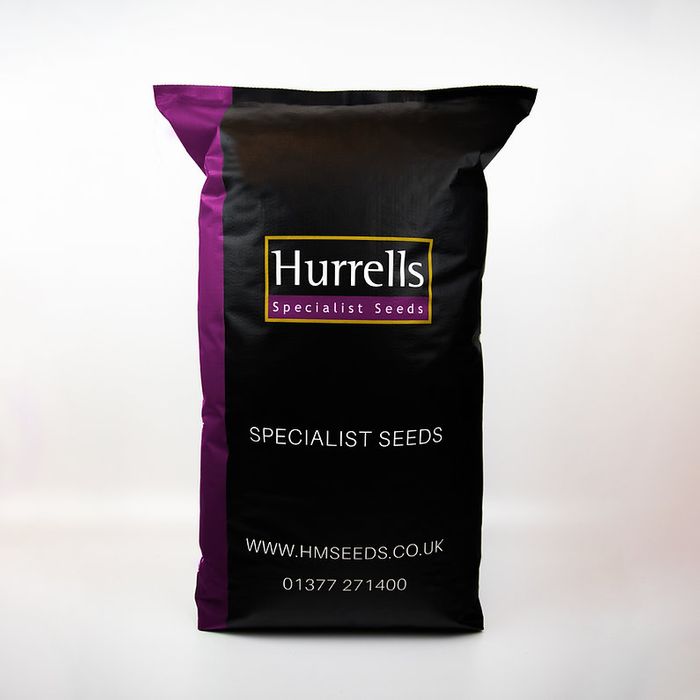 FRCSI Premium Football & Rugby Pitch With Creeping Rye Grass Seed Mix