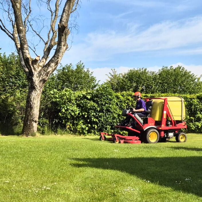 Cover image - One Ash Training Ltd