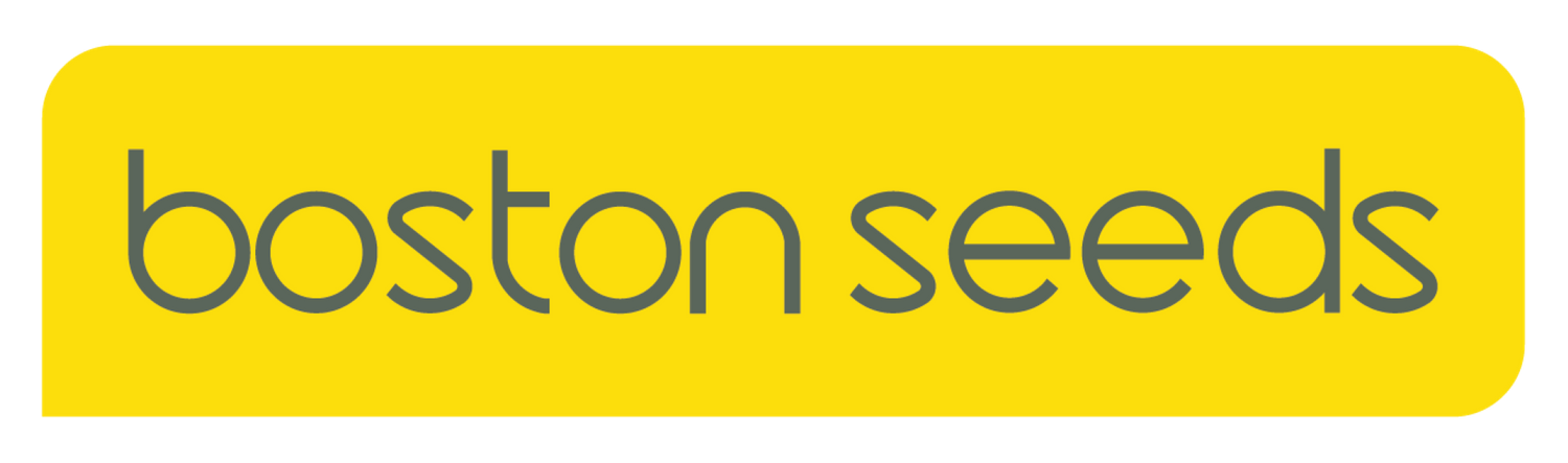 Cover image - Boston Seeds