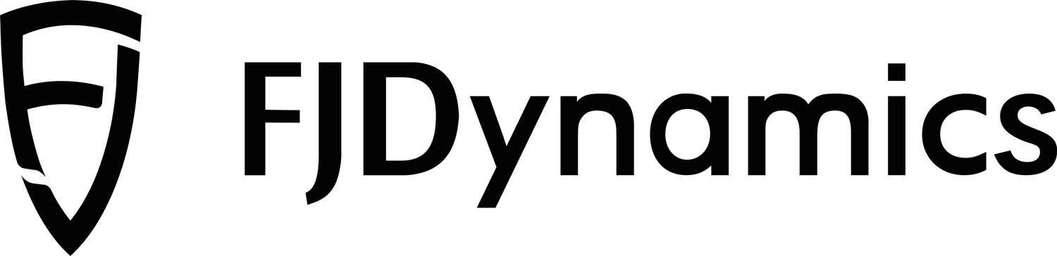 Cover image - FJDYNAMICS INTERNATIONAL LTD