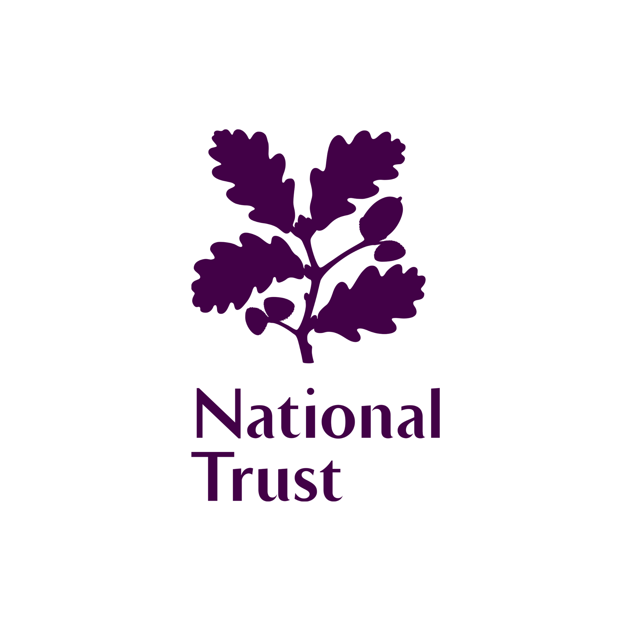 NT