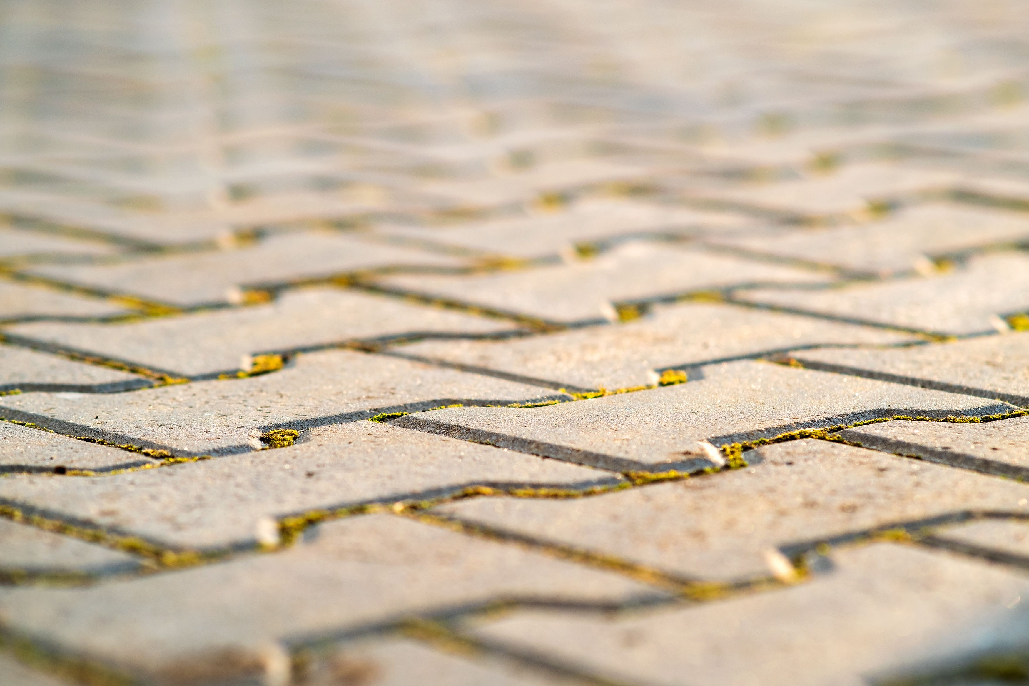 Cleaning Your Block Paving