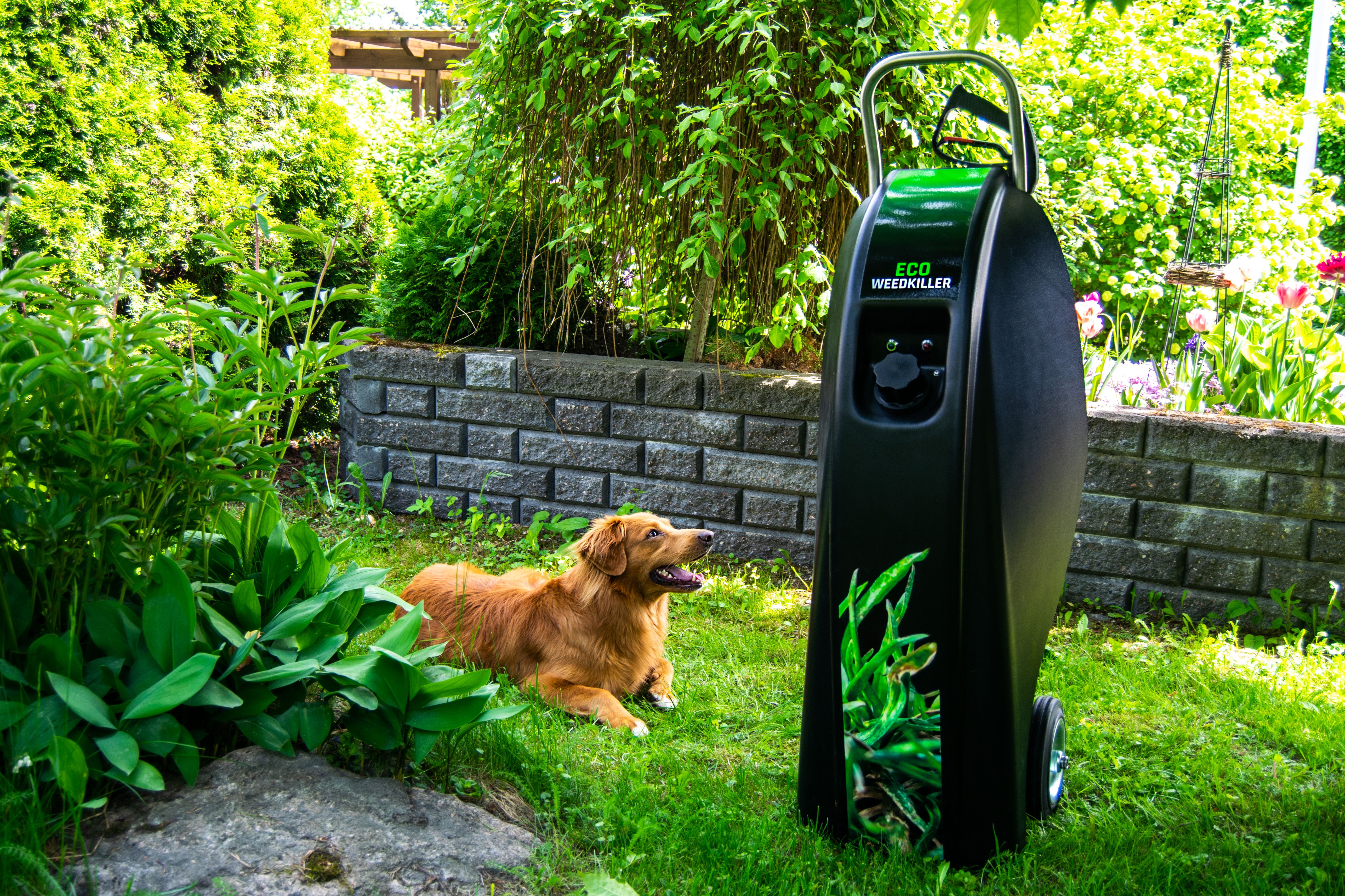 Eco Weedkiller Garden, hot water device for weed control