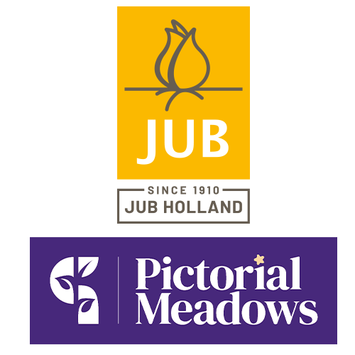 JUB Holland UK LTD/Pictorial Meadows LTD