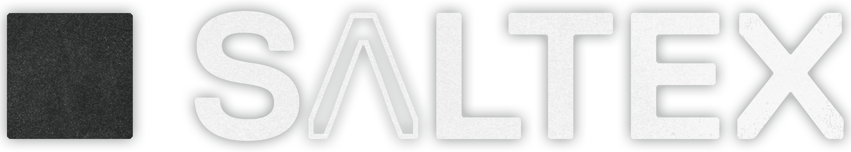 SALTEX logo full