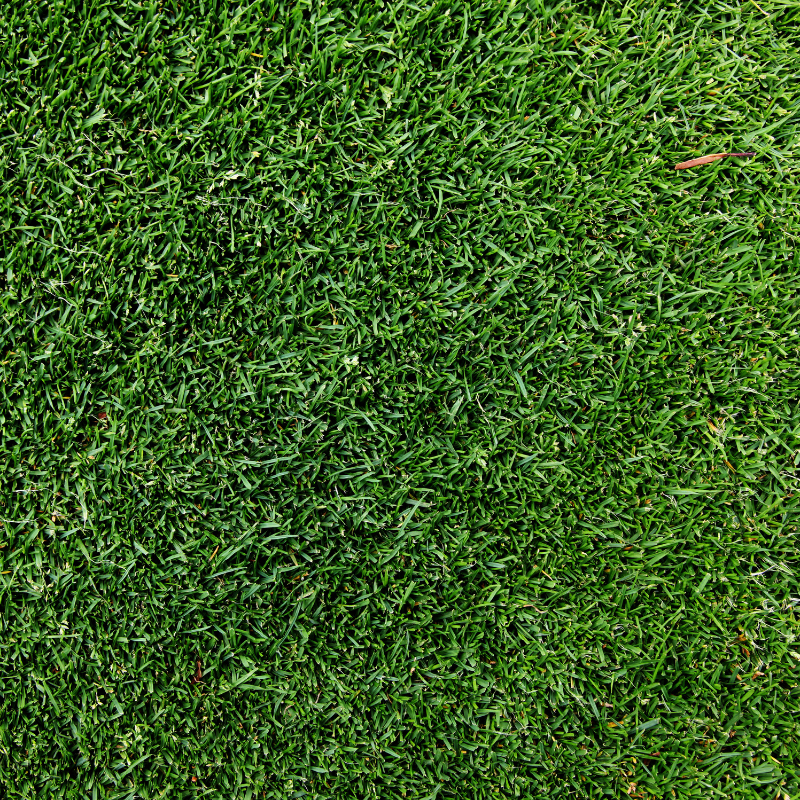 turf