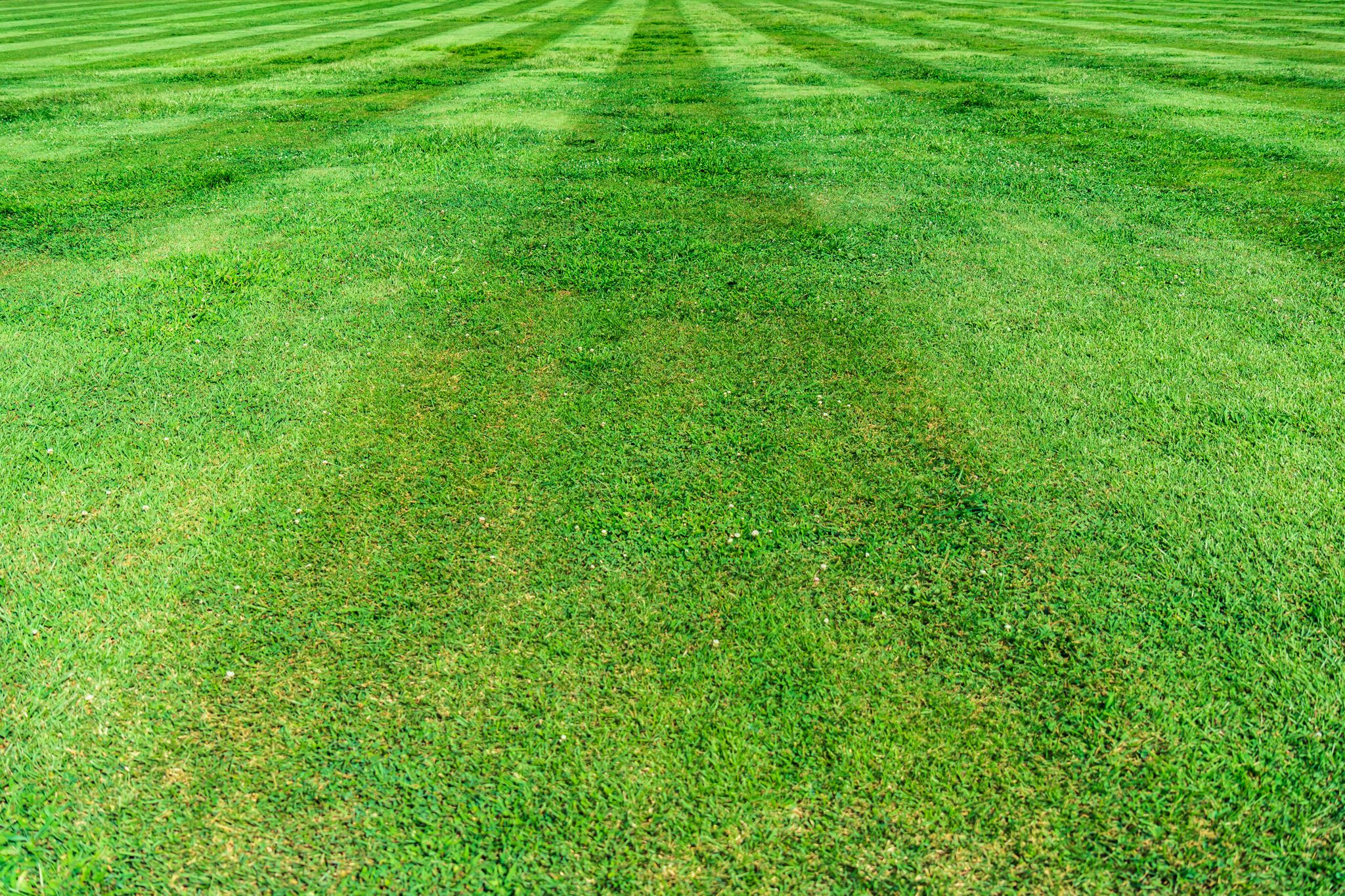GRASS LAWN STRIPES