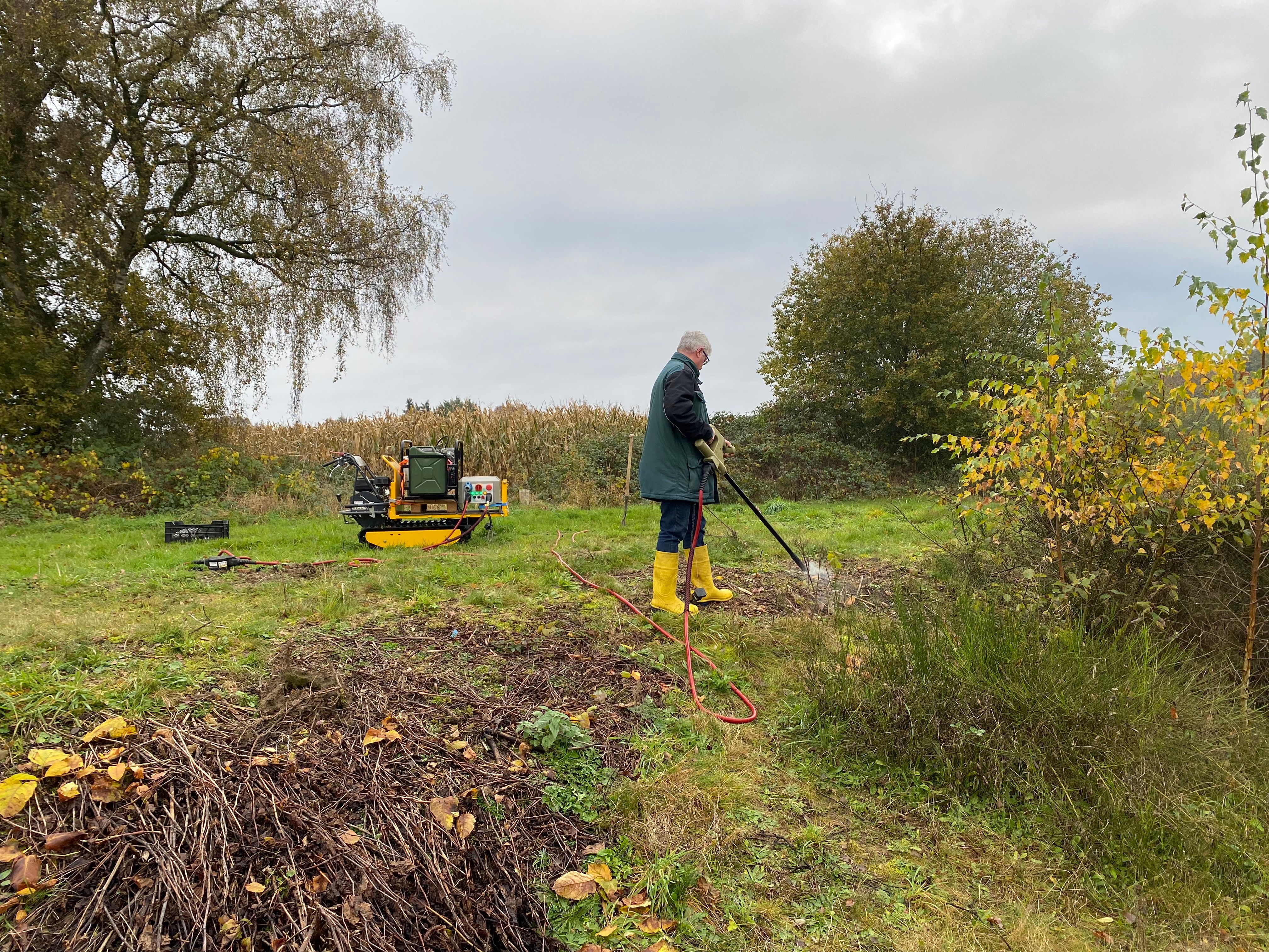 1 hectare of Japanese Knotweed cleared using RootWave Pro
