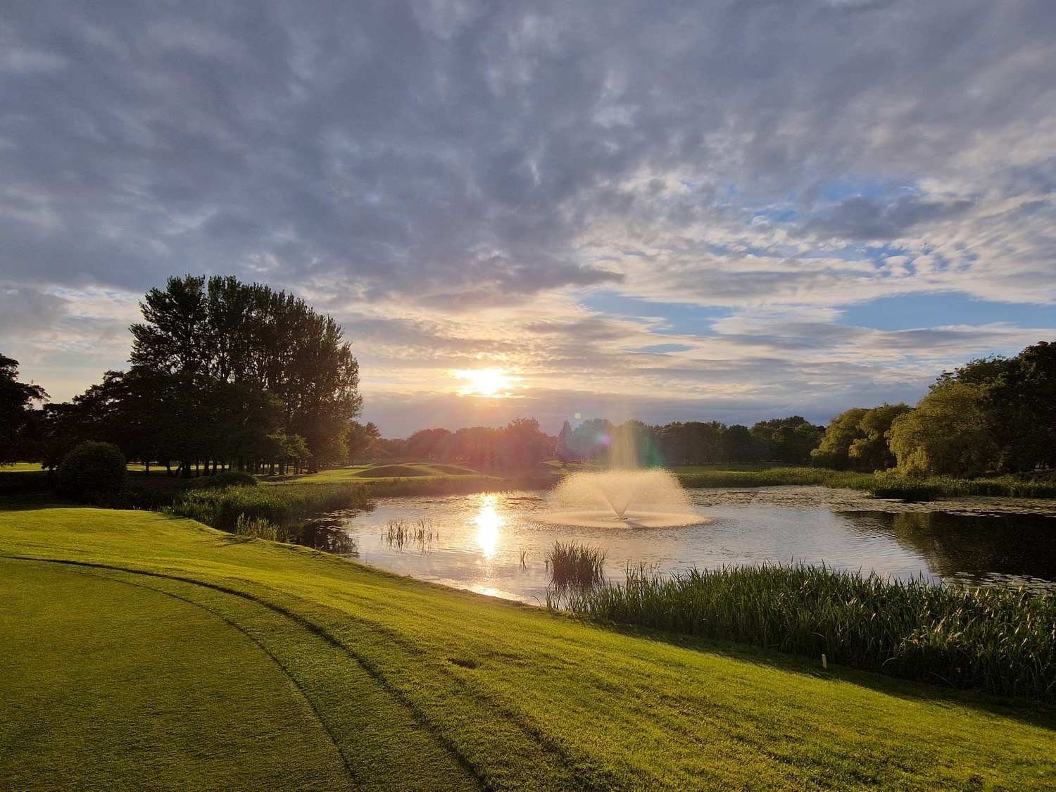 Cover image - Turfcare