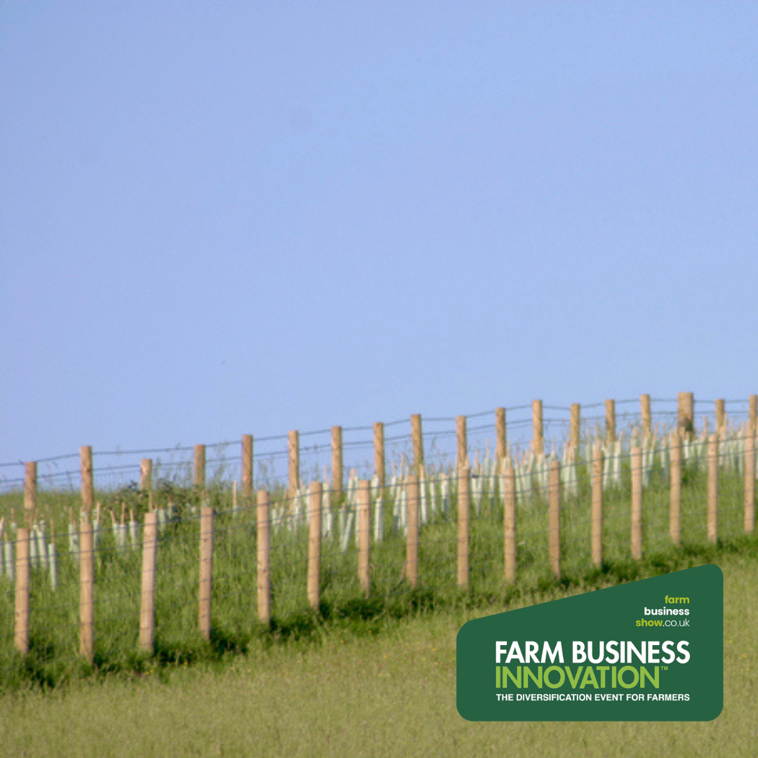 Agroforestry-Inspired Land Management: A Growth Opportunity for Grounds Professionals