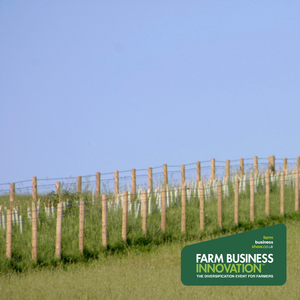 Agroforestry-Inspired Land Management: A Growth Opportunity for Grounds Professionals