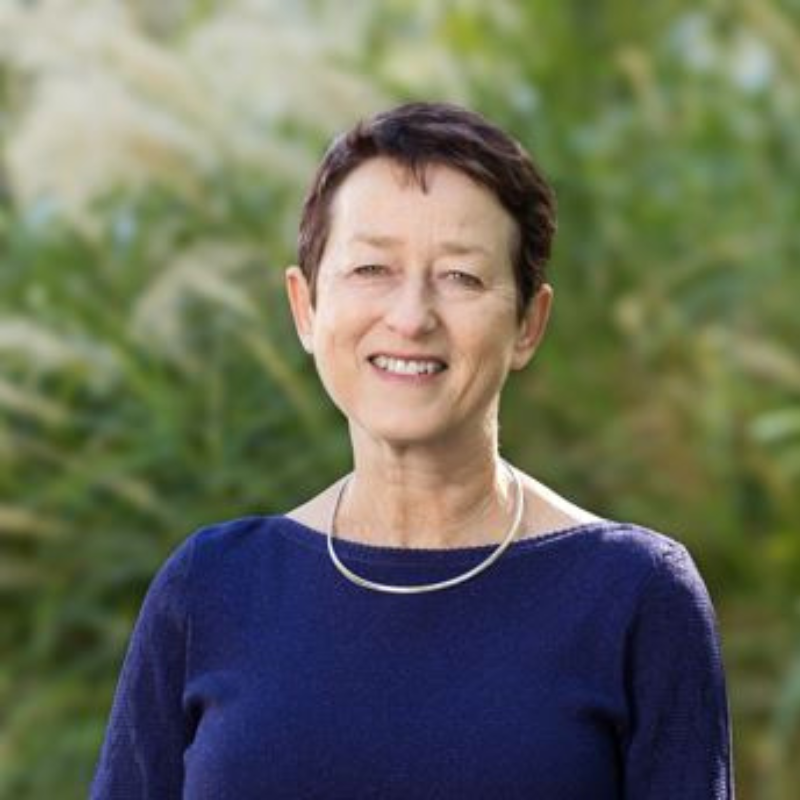 Speaker image for Lisa Gibbs