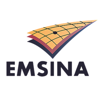 EMSINA logo