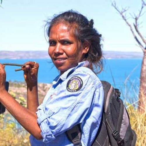 Azarnia Malay - Dambimangari Aboriginal Corporation