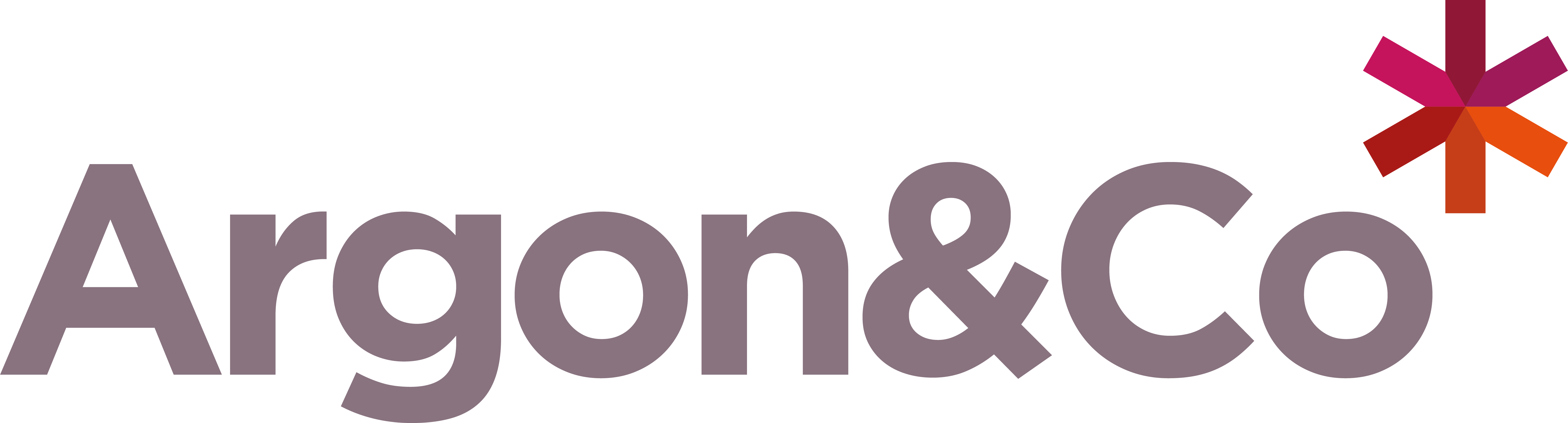 Argon&Co Logo