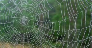 Building a Learning Ecosystem: Insights from Amazon’s Senior Learning Strategist