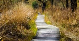 Blended Learning is Opening Internal Development Paths at Defence Health