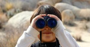 Looking Beyond Go-Live: Where True HR Transformation Happens