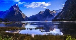 The NZ HR Innovation Landscape in 2018