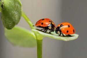 4 Simple Ways to Build a Successful Partnership With Your HR Technology Vendor
