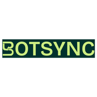 Company name - Botsync